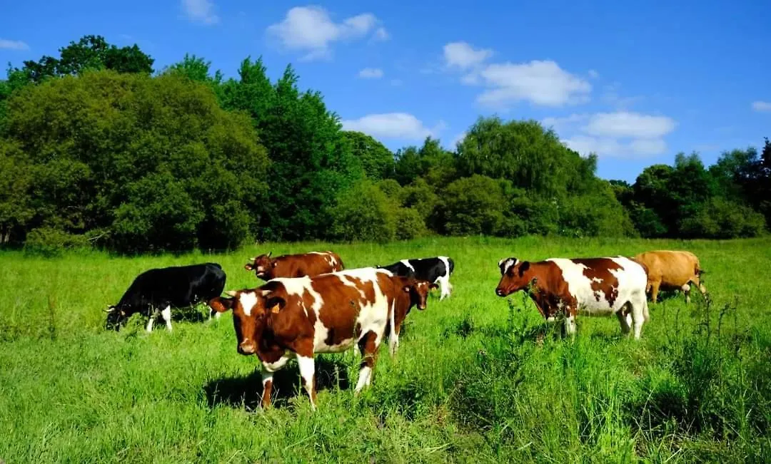 La Ferme De Beau Soleil Gite Et Cabanes Saint-Gilles-du-Mene
