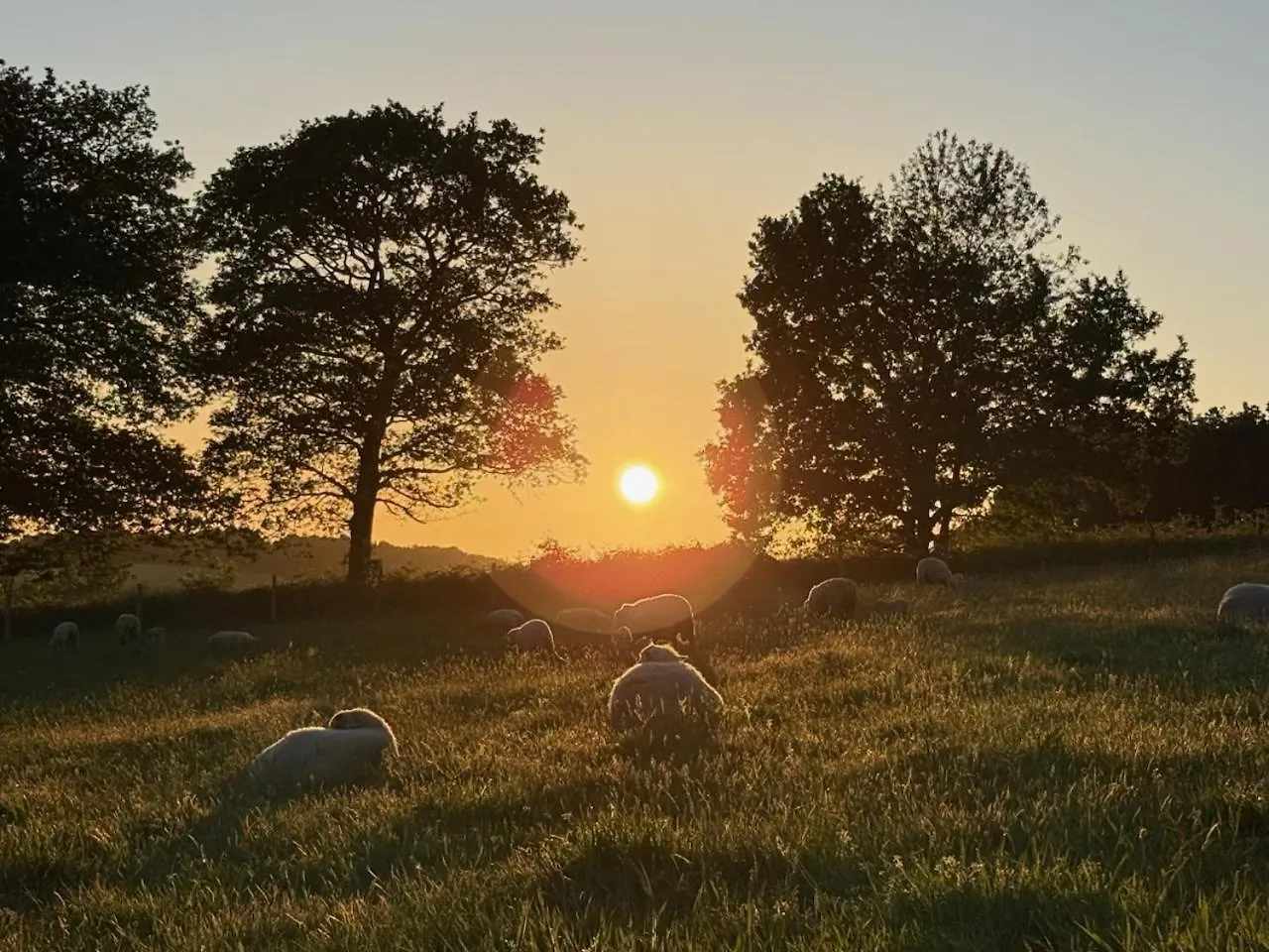 La Ferme De Beau Soleil Gite Et Cabanes Saint-Gilles-du-Mene 0*,  法国